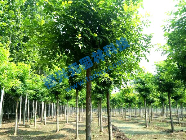 �c���鿴Ԕ����Ϣ���}����Ϟ ��x�Δ���2263