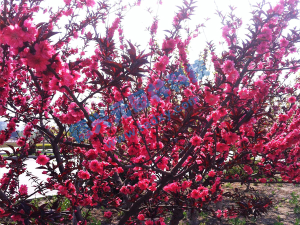 �c���鿴Ԕ����Ϣ���}������ ��x�Δ�(sh��)��2404