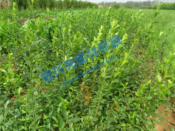 �c���鿴Ԕ����Ϣ���}�����~������ ��x�Δ���2627